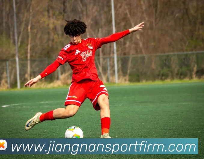 App Interface Preview